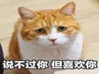 新沂市梵花服饰有限公司