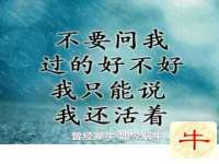 新沂市梵花服饰有限公司