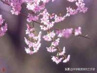 新沂市梵花服饰有限公司