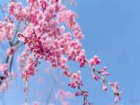新沂市梵花服饰有限公司
