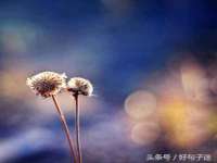 新沂市梵花服饰有限公司