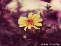 新沂市梵花服饰有限公司