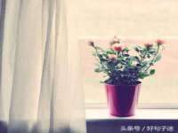 新沂市梵花服饰有限公司