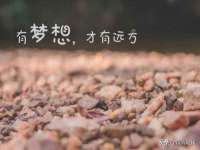 新沂市梵花服饰有限公司