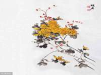 新沂市梵花服饰有限公司