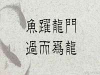 新沂市梵花服饰有限公司