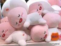 新沂市梵花服饰有限公司