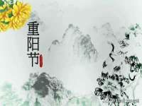新沂市梵花服饰有限公司