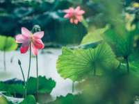 新沂市梵花服饰有限公司