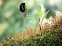 新沂市梵花服饰有限公司