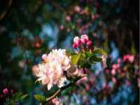 新沂市梵花服饰有限公司