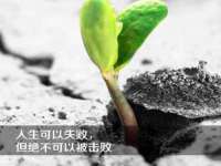 新沂市梵花服饰有限公司