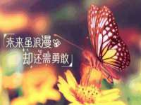 新沂市梵花服饰有限公司
