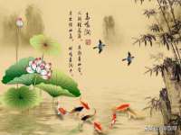 新沂市梵花服饰有限公司