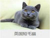 新沂市梵花服饰有限公司
