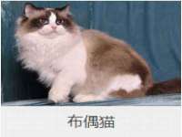 新沂市梵花服饰有限公司