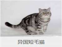 新沂市梵花服饰有限公司