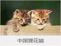 新沂市梵花服饰有限公司