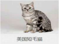 新沂市梵花服饰有限公司