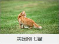 新沂市梵花服饰有限公司