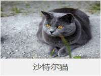 新沂市梵花服饰有限公司