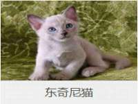 新沂市梵花服饰有限公司