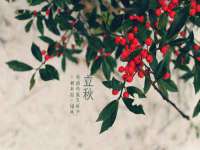 新沂市梵花服饰有限公司