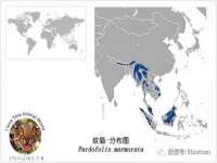 新沂市梵花服饰有限公司