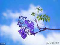 新沂市梵花服饰有限公司