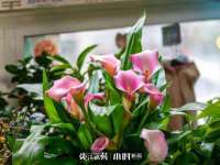 新沂市梵花服饰有限公司