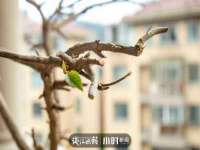 新沂市梵花服饰有限公司