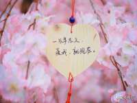 新沂市梵花服饰有限公司
