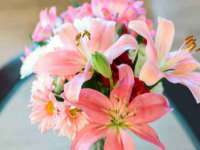 新沂市梵花服饰有限公司