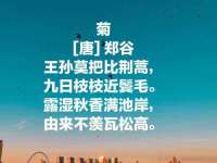 新沂市梵花服饰有限公司
