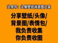 新沂市梵花服饰有限公司