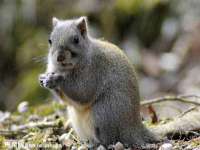 新沂市梵花服饰有限公司
