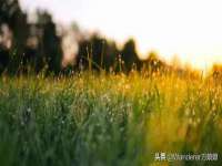 新沂市梵花服饰有限公司