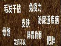 新沂市梵花服饰有限公司