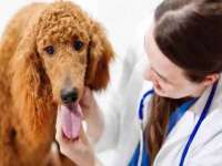 新沂市梵花服饰有限公司