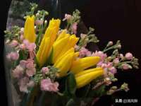 新沂市梵花服饰有限公司
