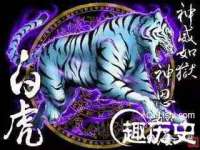 新沂市梵花服饰有限公司