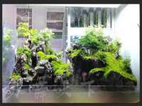 新沂市梵花服饰有限公司