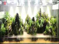 新沂市梵花服饰有限公司