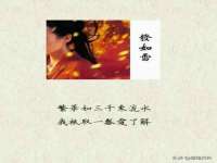 新沂市梵花服饰有限公司