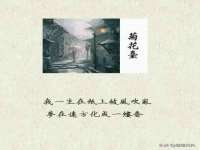 新沂市梵花服饰有限公司