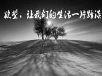 新沂市梵花服饰有限公司