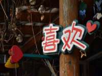 新沂市梵花服饰有限公司
