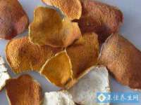 新沂市梵花服饰有限公司
