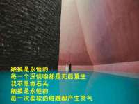 新沂市梵花服饰有限公司