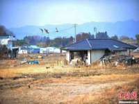 新沂市梵花服饰有限公司